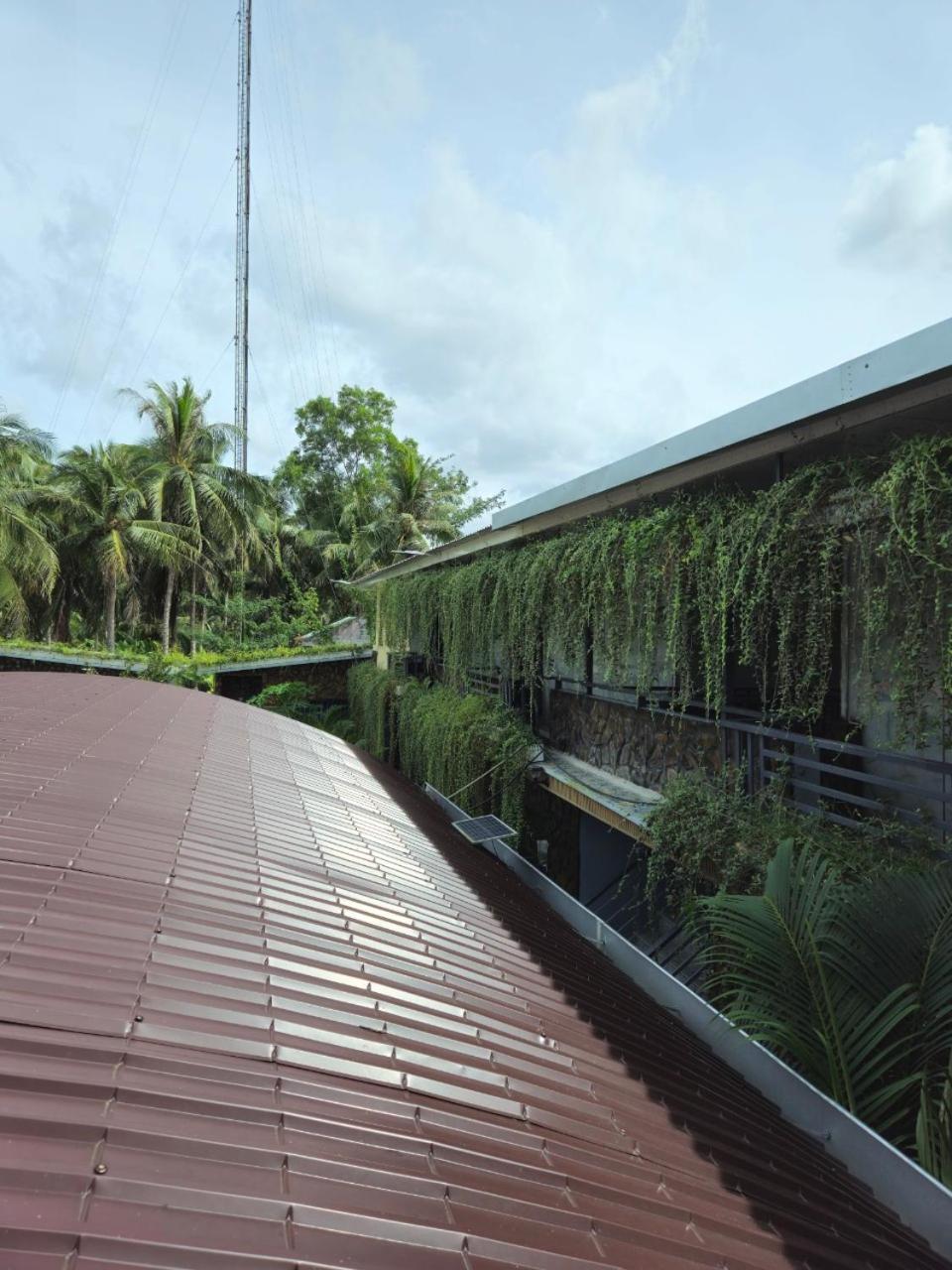 Homestay Bao Binh Ben Tre Екстер'єр фото