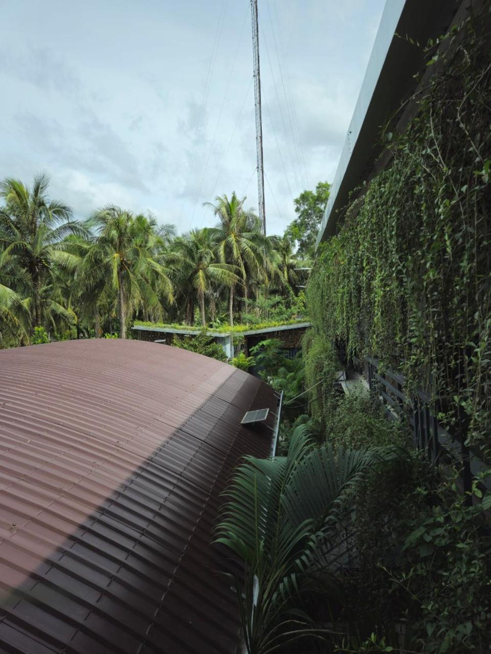 Homestay Bao Binh Ben Tre Екстер'єр фото