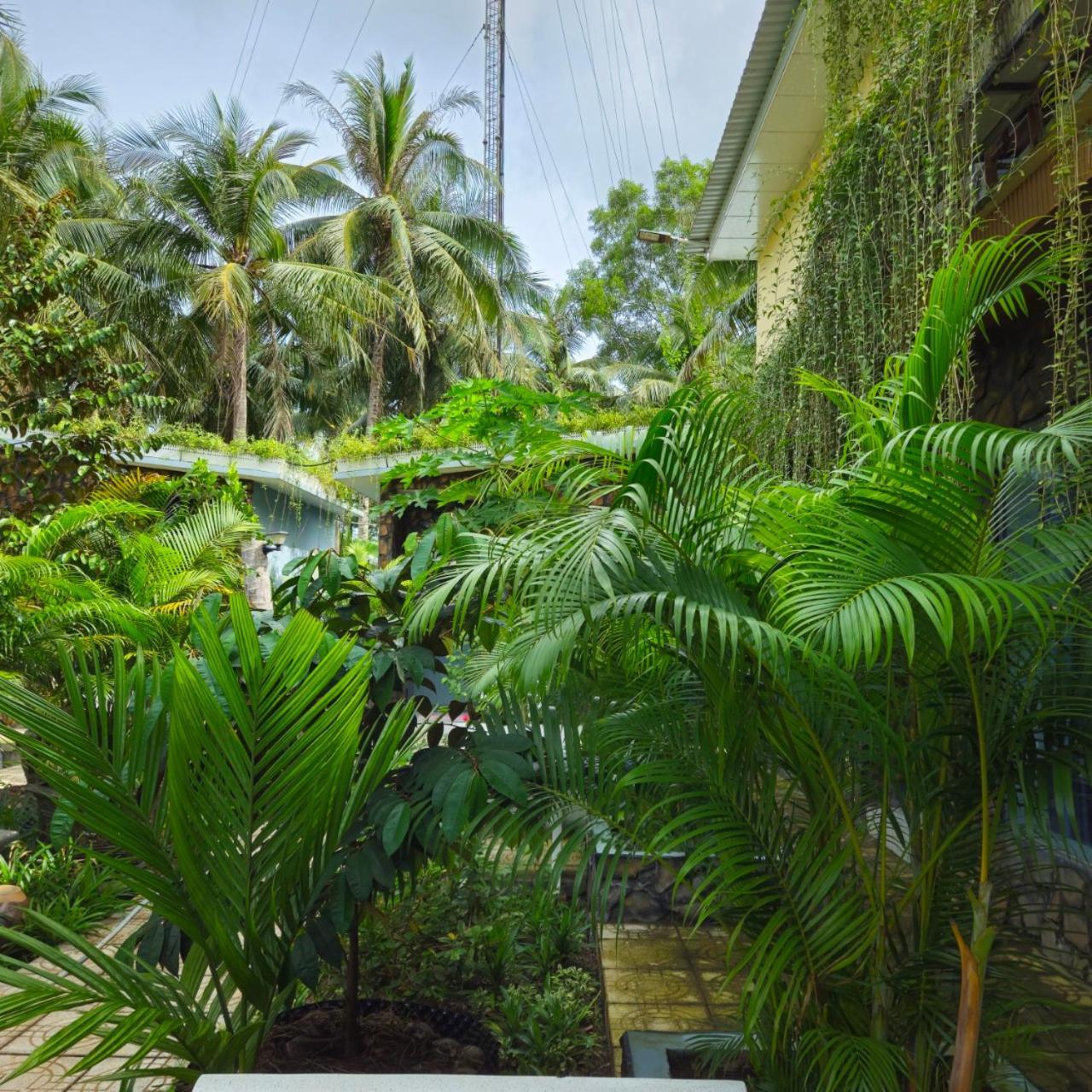 Homestay Bao Binh Ben Tre Екстер'єр фото