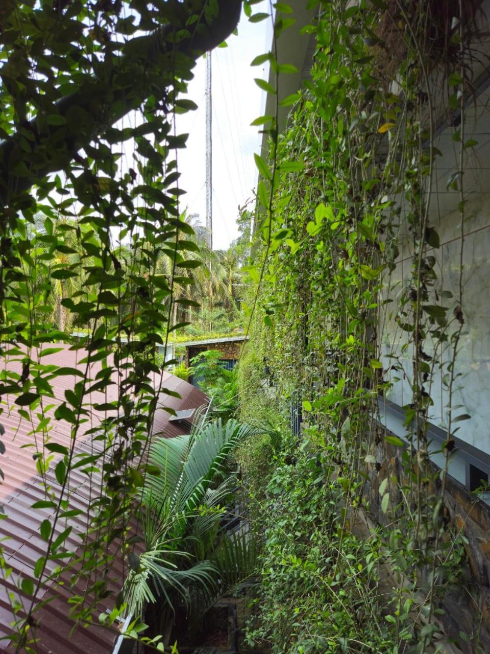 Homestay Bao Binh Ben Tre Екстер'єр фото