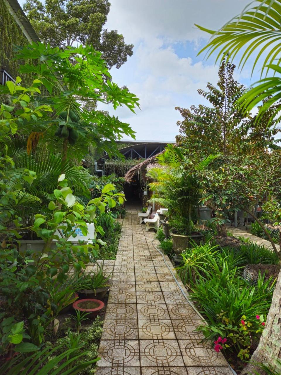 Homestay Bao Binh Ben Tre Екстер'єр фото