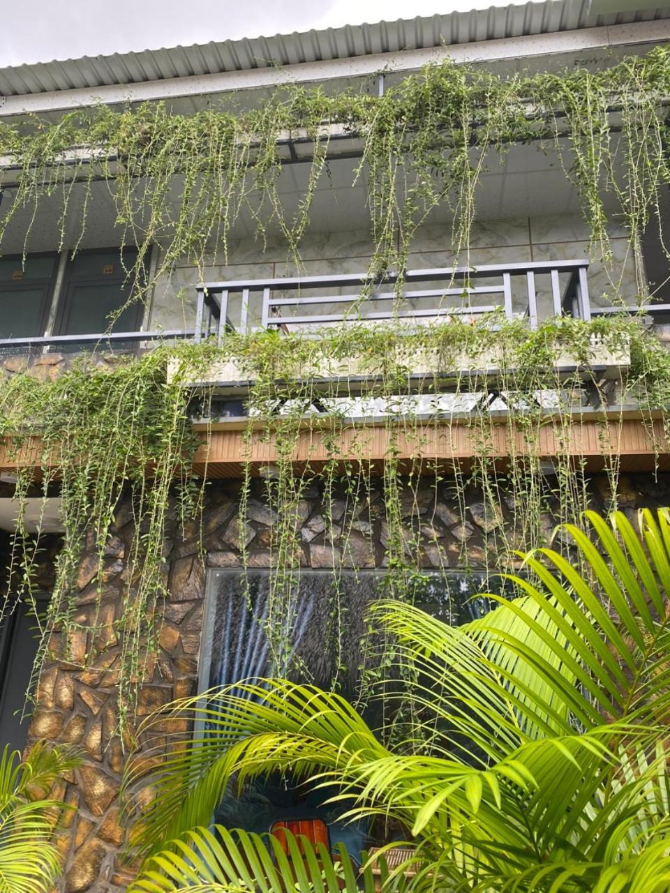 Homestay Bao Binh Ben Tre Екстер'єр фото